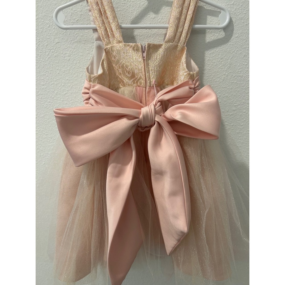 Chantilly Place Toddler Girl Pink Gold Tulle Flower Girl Formal Dress 2T - Picture 7 of 7